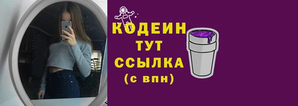 соль ск Абаза