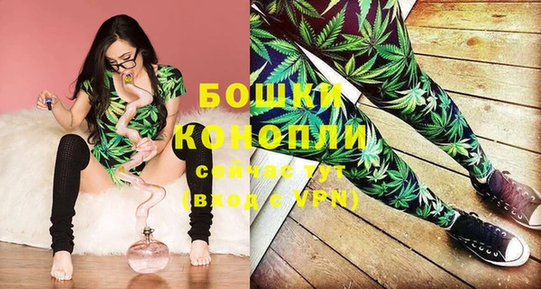 соль ск Абаза