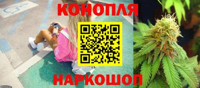 эйфоретик Гатчина