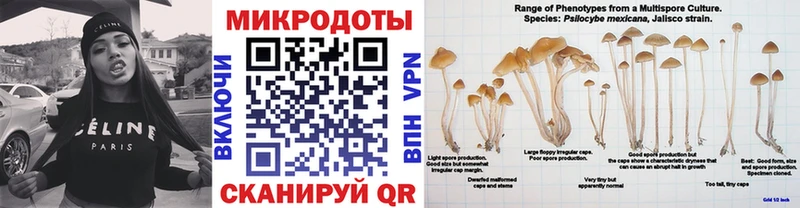 МЕГА как войти  Богданович  Псилоцибиновые грибы Psilocybe  где купить наркотик 