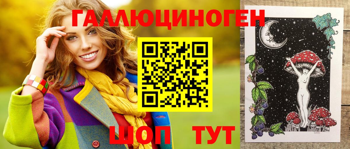 Богданович  Галлюциногенные грибы Psilocybine cubensis  Вход с VPN 