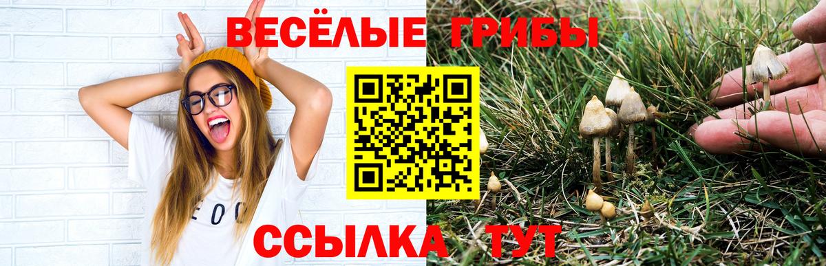 Мефедрон Богданович