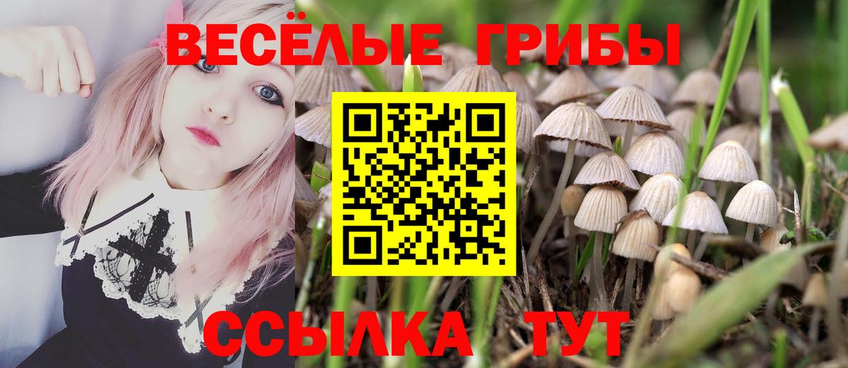 Галлюциногенные грибы Psilocybine cubensis Богданович